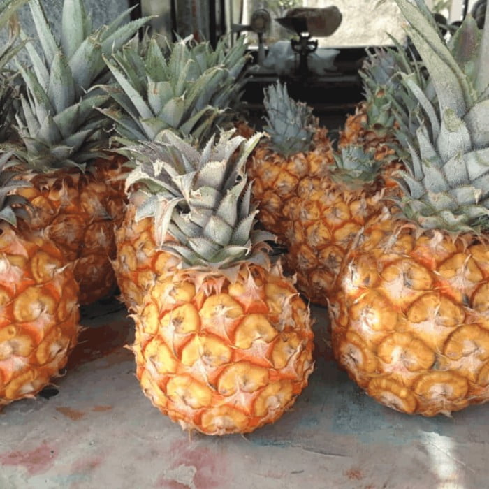 Piña Entera