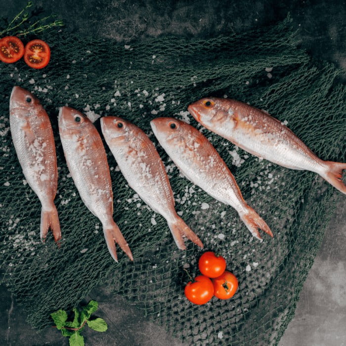 Paquete de Pescado Pargo (2 lbs)