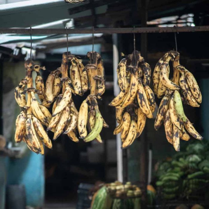 Selección de Frutas (10 lbs) - Matanzas - Imagen 4