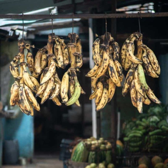 Platano Vianda (3 Unidades)
