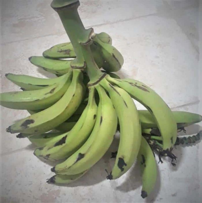 Platano Macho (3 uni) - Matanzas - Imagen 2