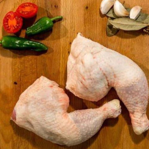 Pollo