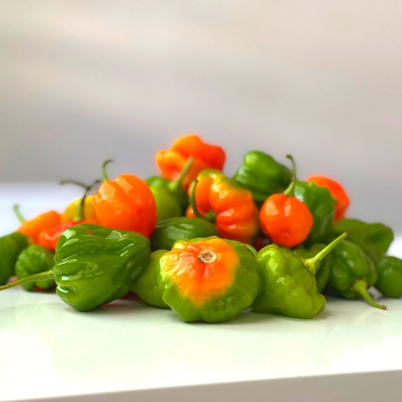 Aji