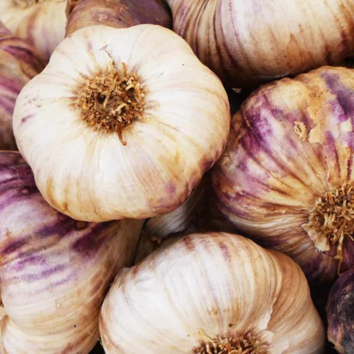 pata-de-ajo-sancti-spititus