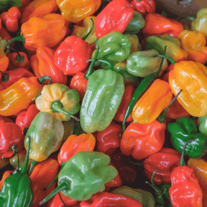 aji