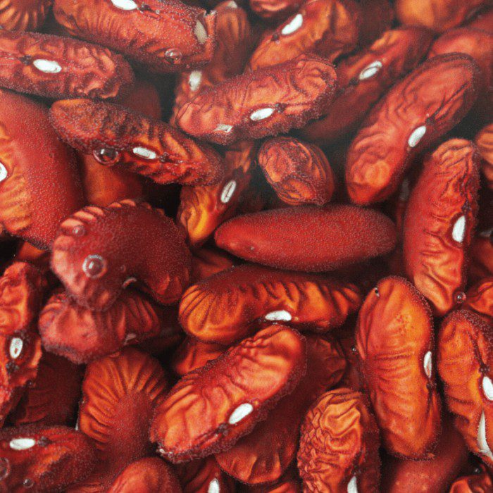 Frijoles colorados