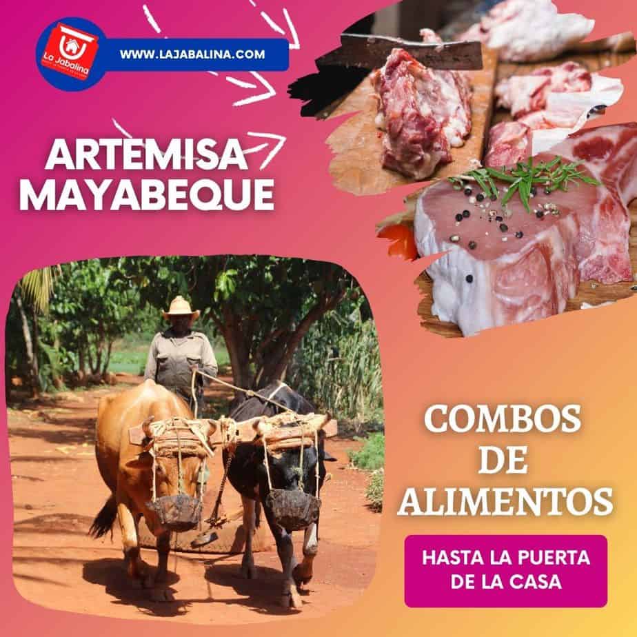 COMBO - La Jaba de Fibra