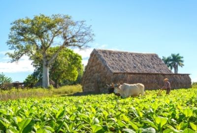 envio-comida-pinar-del-rio