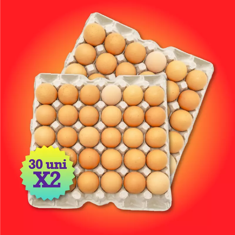 Huevos 30unid X2