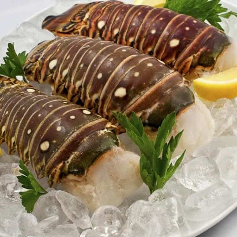 Cola-de-langosta