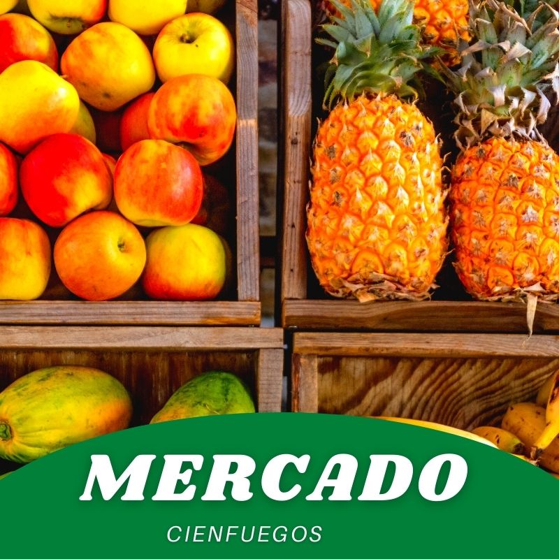 mercado-cienfuegos-la-jabalina