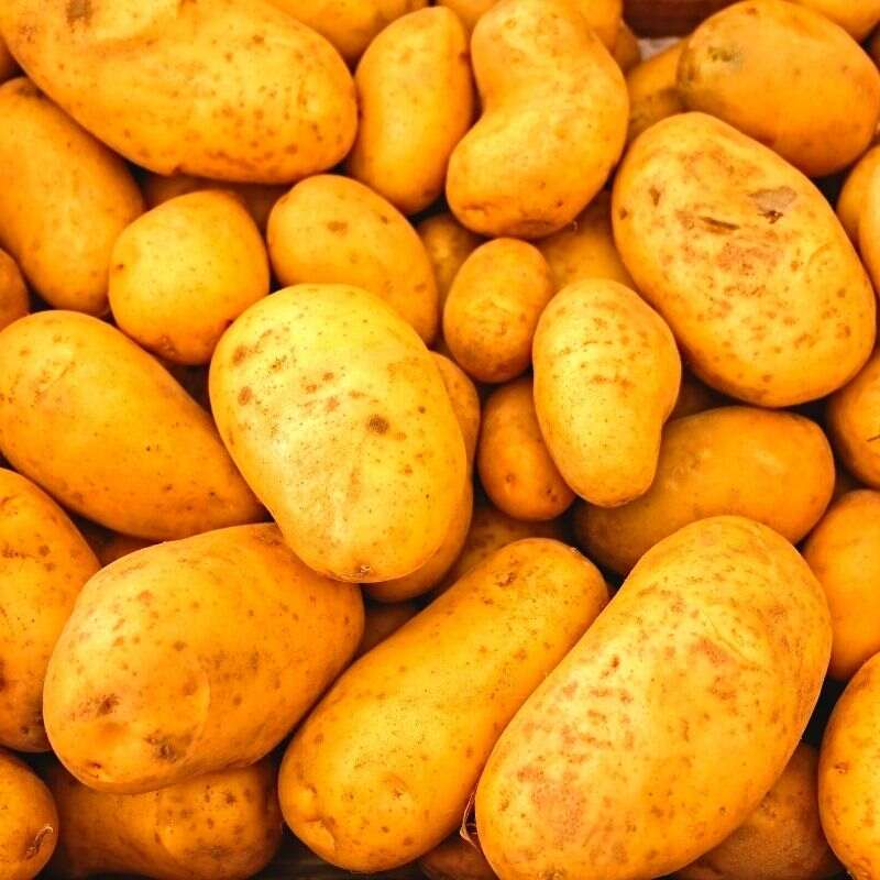 papas