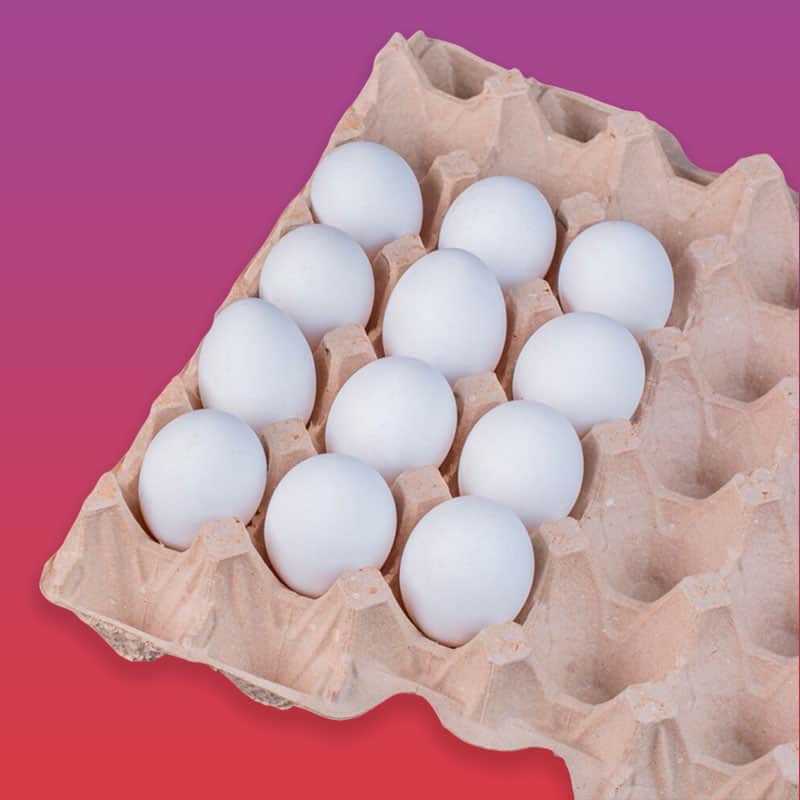 12 huevos