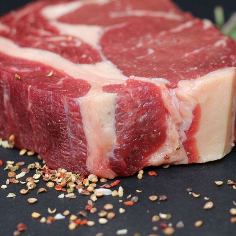 Chivo