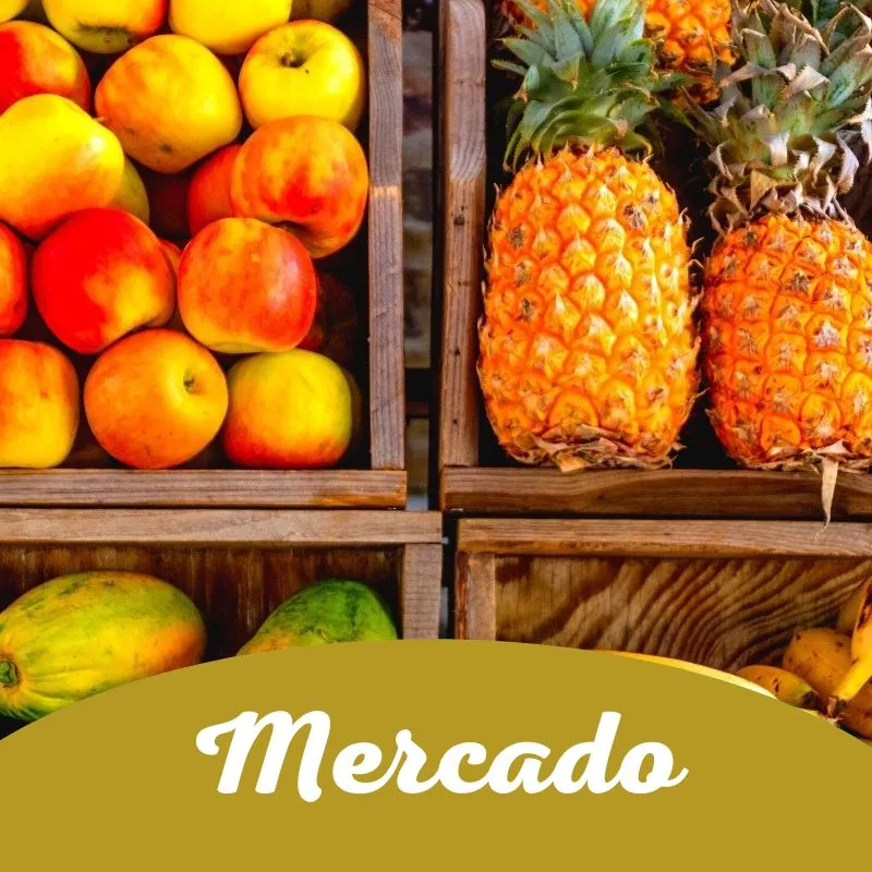Mercado-gt